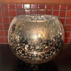 Silver Glass Vase Bowl Decor